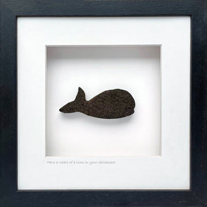 Have a whale of a time in your retirement