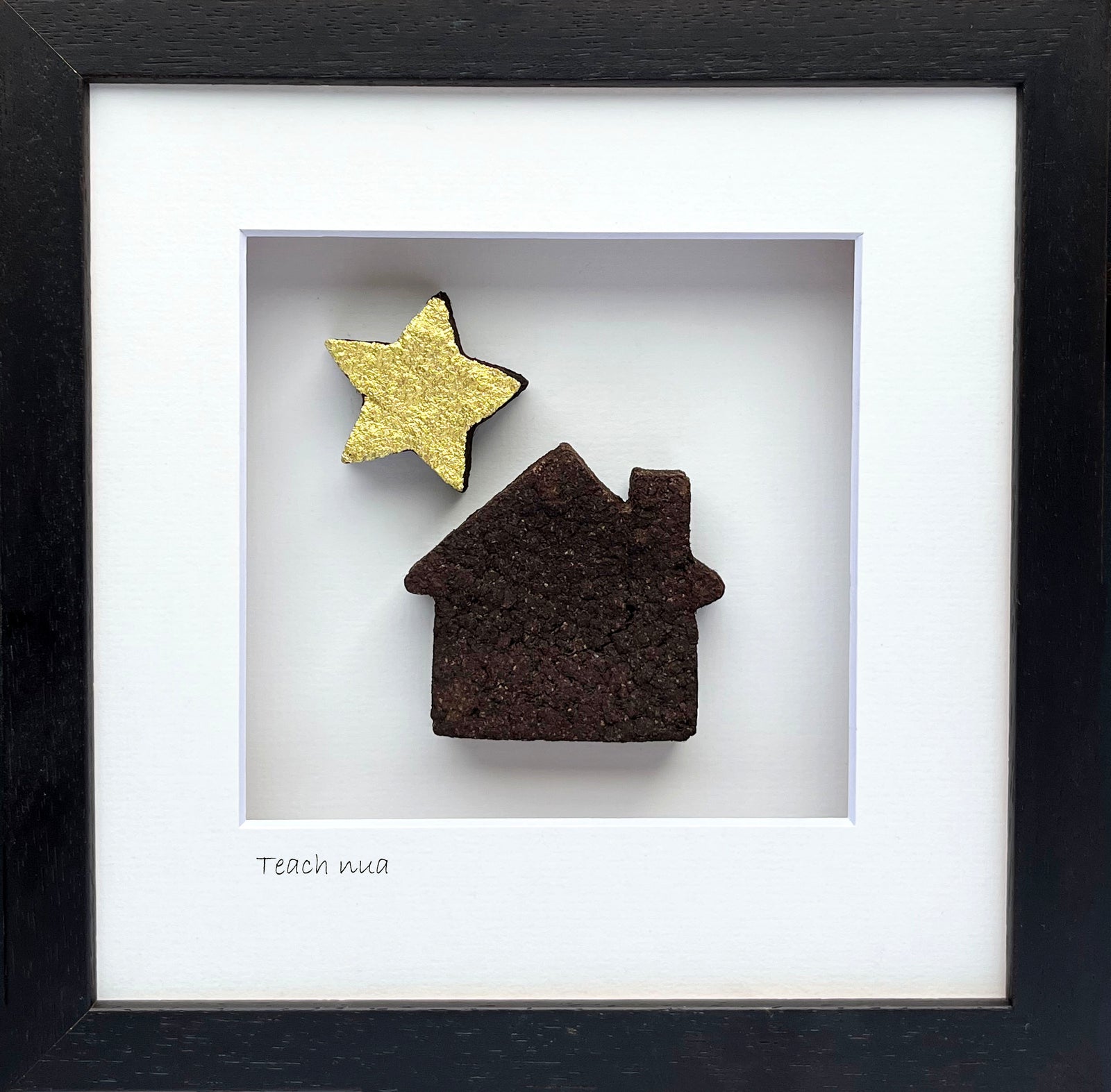 Teach Nua (New House)