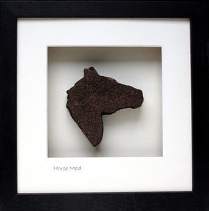 Horse Mad