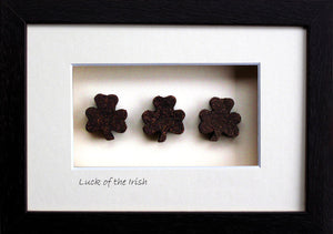 Luck Of The Irish - Good Luck Gift