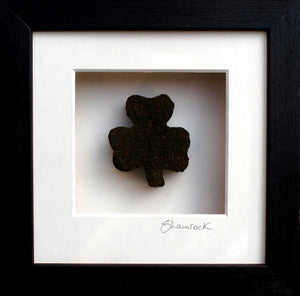 Bog Shamrock